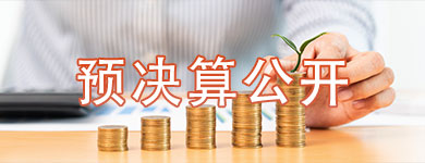 预决算公开
